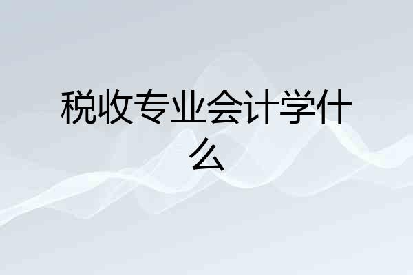 税收专业会计学什么