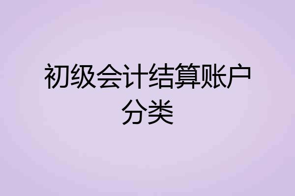 初级会计结算账户分类