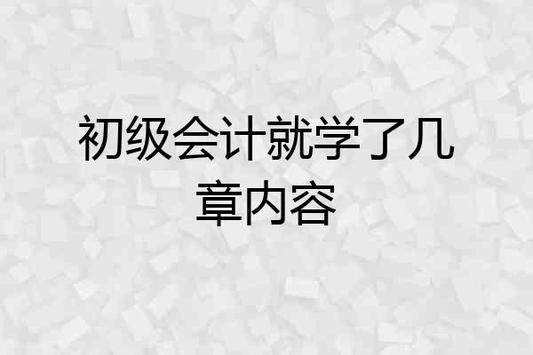 初级会计就学了几章内容