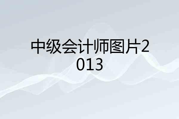 中级会计师图片2013