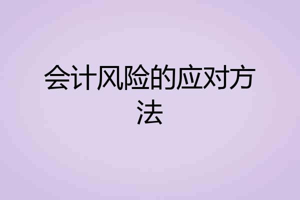 会计风险的应对方法