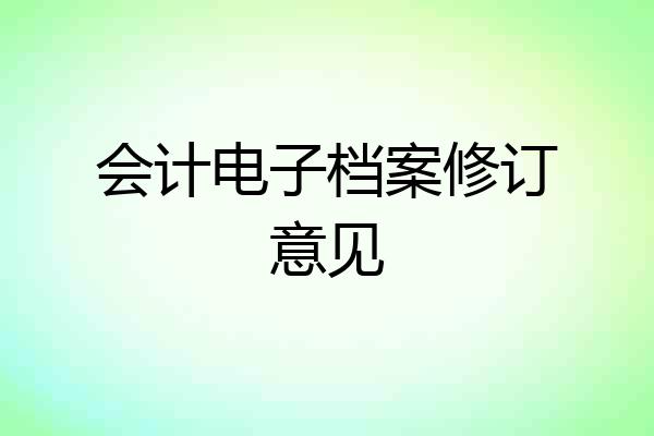 会计电子档案修订意见