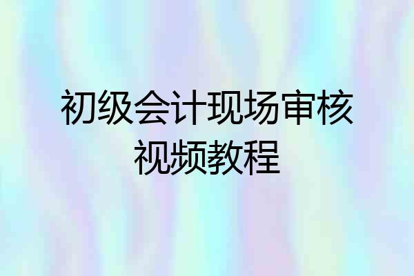 初级会计现场审核视频教程