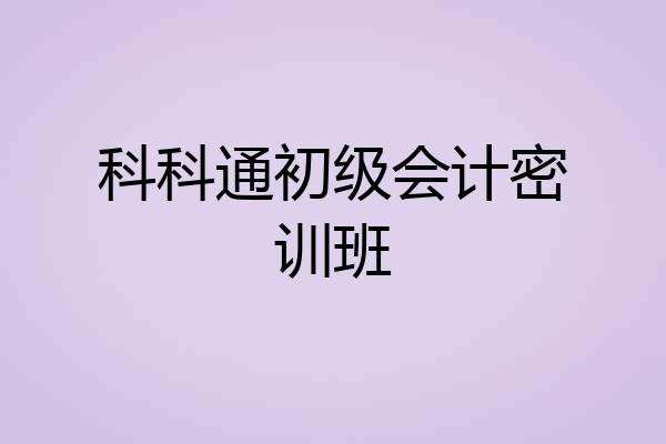科科通初级会计密训班