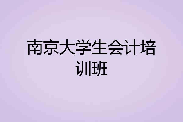 南京大学生会计培训班