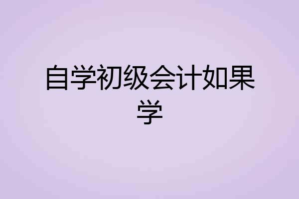 自学初级会计如果学