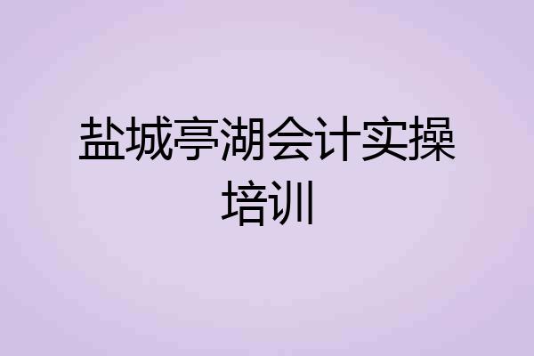 盐城亭湖会计实操培训