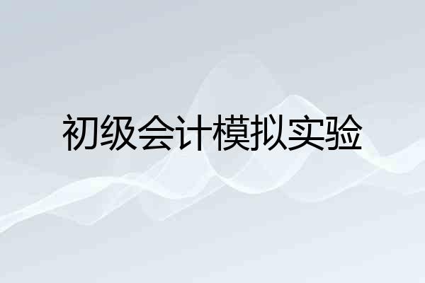 初级会计模拟实验