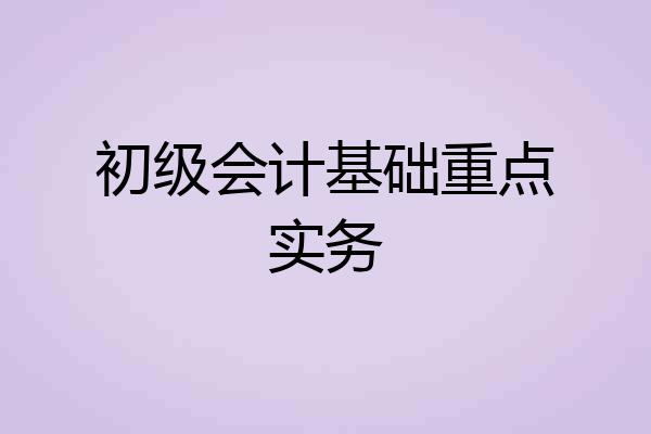 初级会计基础重点实务