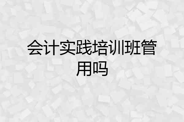 会计实践培训班管用吗