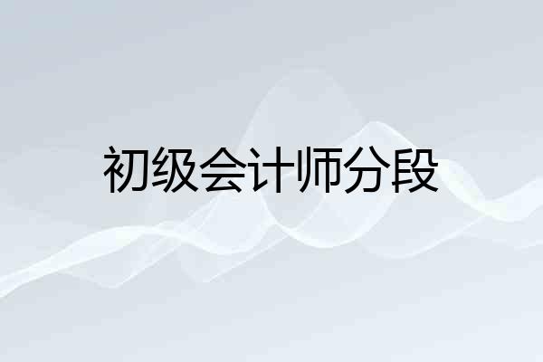 初级会计师分段