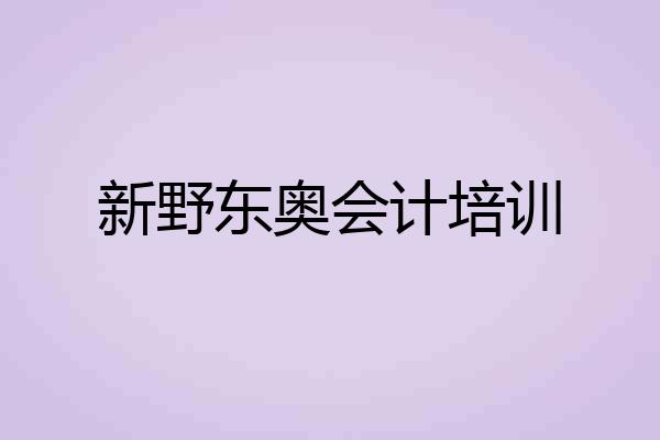 新野东奥会计培训