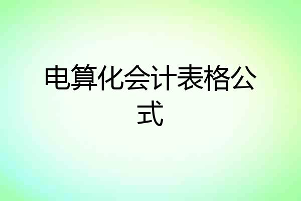 电算化会计表格公式