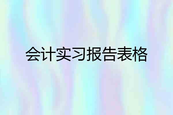 会计实习报告表格