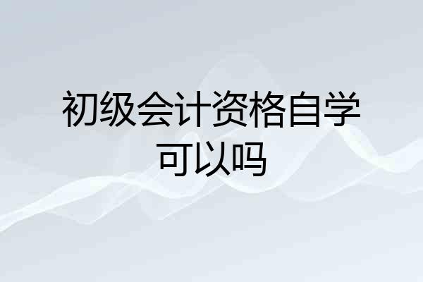 初级会计资格自学可以吗
