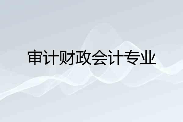 审计财政会计专业