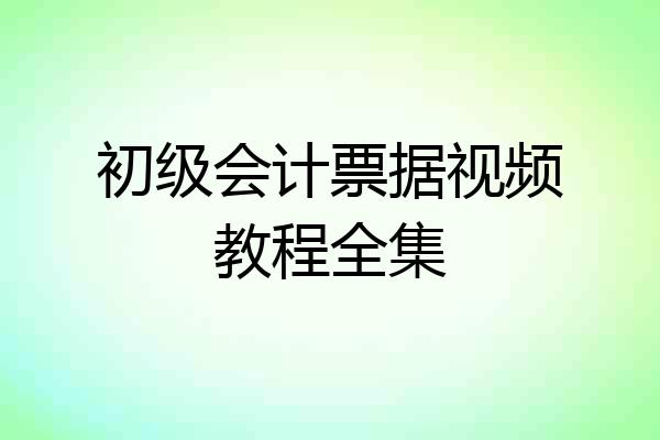 初级会计票据视频教程全集