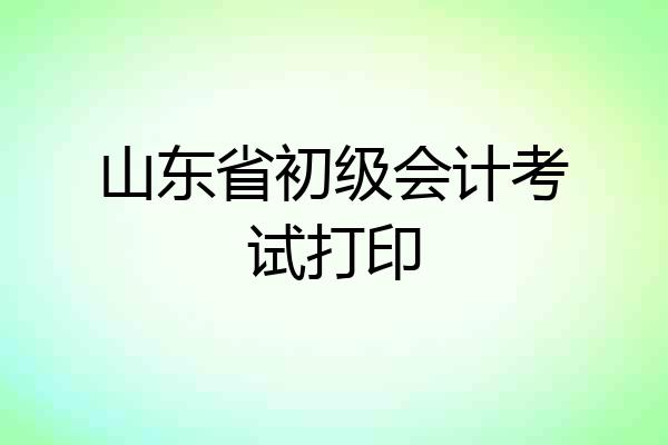 山东省初级会计考试打印