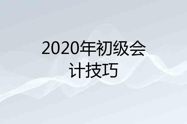 2020年初级会计技巧