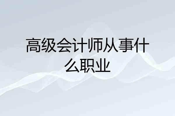 高级会计师从事什么职业