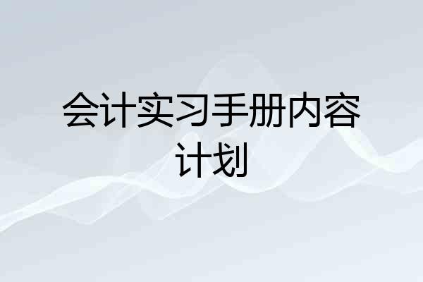 会计实习手册内容计划