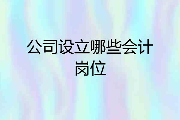 公司设立哪些会计岗位