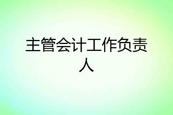主管会计工作负责人