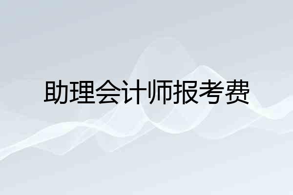 助理会计师报考费