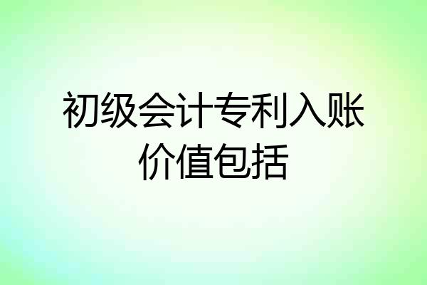 初级会计专利入账价值包括