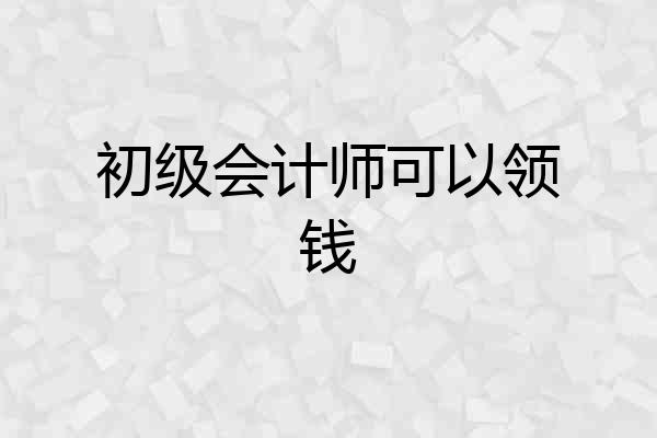 初级会计师可以领钱