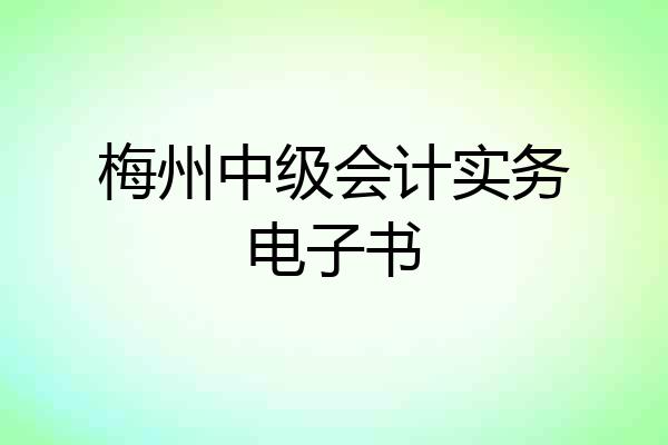 梅州中级会计实务电子书
