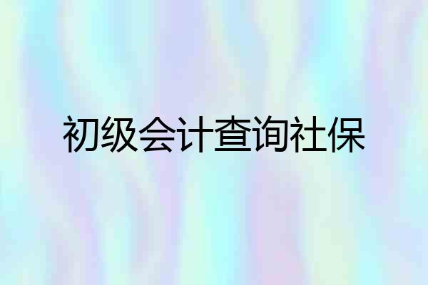 初级会计查询社保