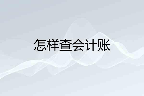 怎样查会计账