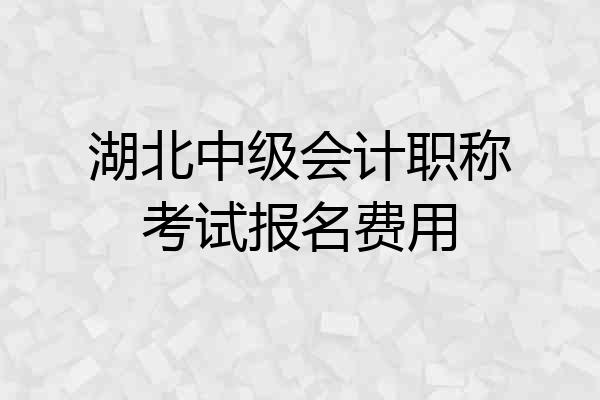 湖北中级会计职称考试报名费用