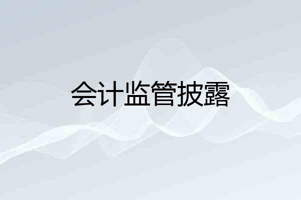 会计监管披露