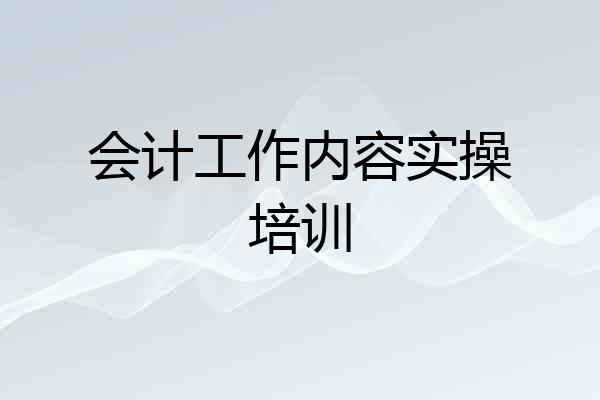 会计工作内容实操培训