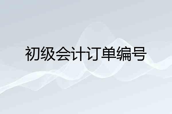 初级会计订单编号