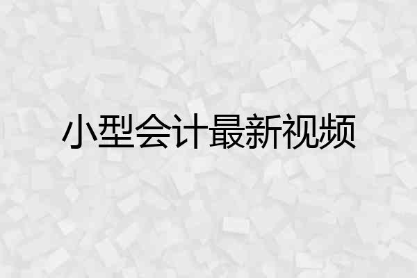 小型会计最新视频