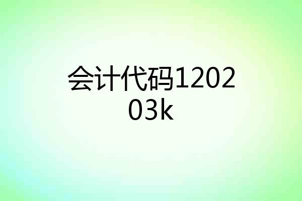 会计代码120203k