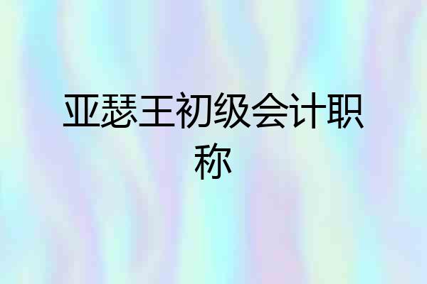 亚瑟王初级会计职称