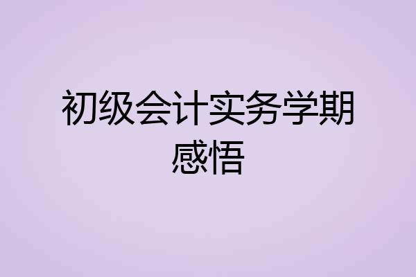 初级会计实务学期感悟