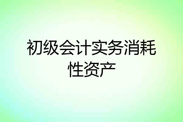初级会计实务消耗性资产