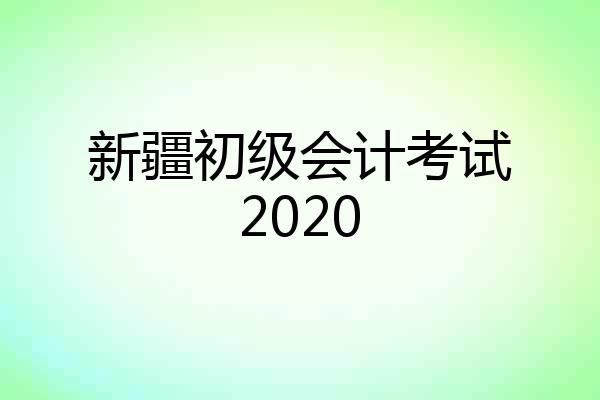 新疆初级会计考试2020