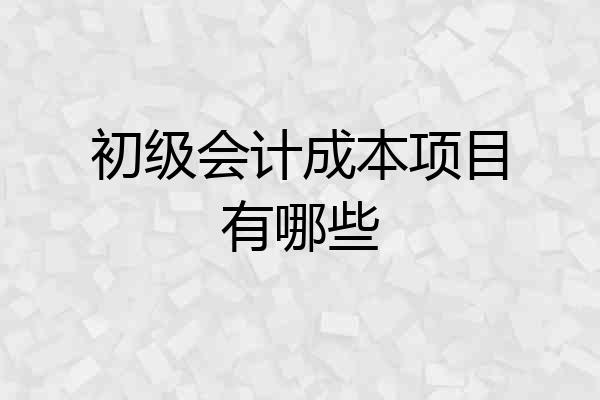 初级会计成本项目有哪些