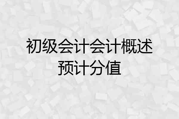 初级会计会计概述预计分值