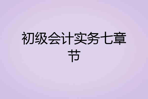 初级会计实务七章节