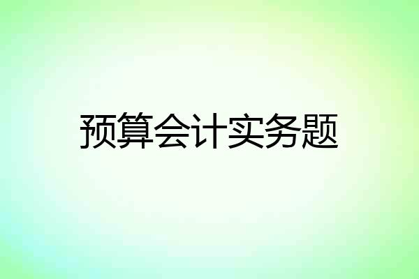 预算会计实务题