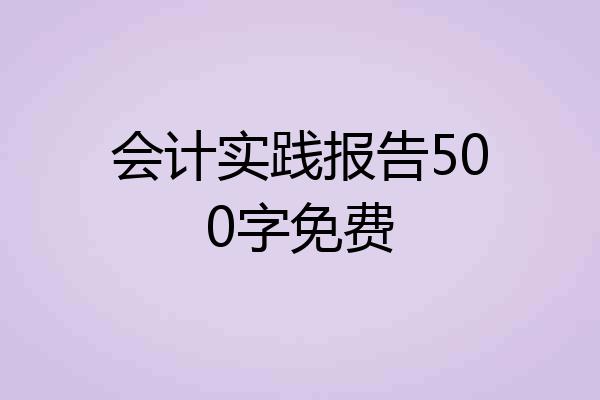 会计实践报告500字免费