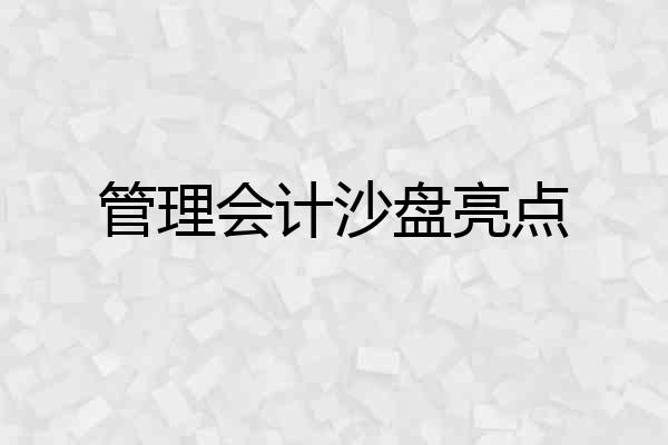 管理会计沙盘亮点