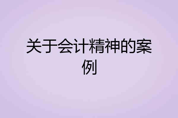 关于会计精神的案例
